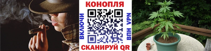 Каннабис OG Kush где можно купить Будённовск